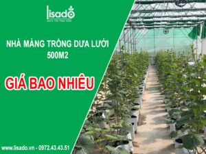Chi phí làm nhà kính 500m2 khoảng bao nhiêu?