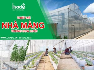 THIẾT KẾ – THI CÔNG NHÀ MÀNG TRỒNG DƯA LƯỚI