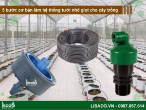 5 bước cơ bản pha dung dịch tưới nhỏ giọt cho cây trồng