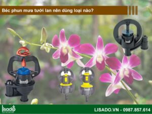 Béc tưới lan phun mưa nên dùng loại nào?