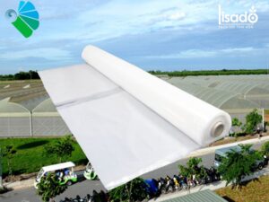 Màng phủ nhà kính Politiv khổ 2.2×100 mét (Israel)