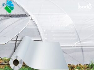 Màng phủ nhà kính Politiv khổ 6.2×100 mét (Israel)