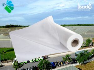Màng phủ nhà kính Politiv – Israel khổ 8×100 mét