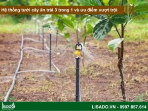 Hệ thống tưới nhỏ giọt cho cây ăn quả và những ưu điểm vượt trội