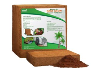 Mụn xơ dừa ép bánh Best Grow 300x300x150 mm đã qua xử lý, tiêu chuẩn xuất khẩu