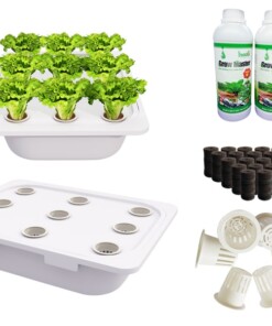 01 thùng thủy canh tĩnh, 1 cặp Grow Master 500ml, 10 viên nén xơ dừa, 10 rọ nhựa