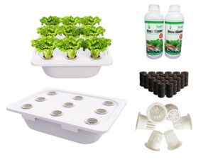 01 thùng thủy canh tĩnh, 1 cặp Grow Master 500ml, 10 viên nén xơ dừa, 10 rọ nhựa