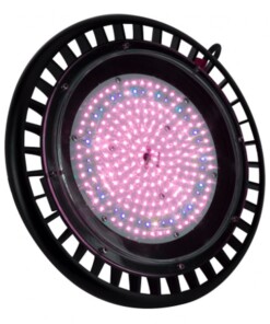 Đèn trồng hoa lan LED UFO330 150W/WBU - Rạng Đông