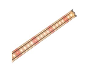 Đèn LED nuôi cấy mô NCM 120/16W WR – Rạng Đông