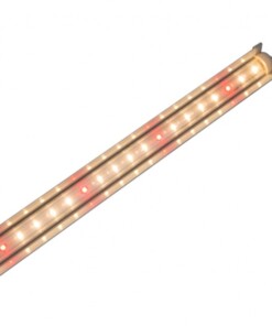 Đèn LED chuyên dụng trồng rau TRR 25W 120/WR - Rạng Đông