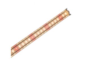 Đèn LED chuyên dụng trồng rau TRR 25W 120/WR – Rạng Đông