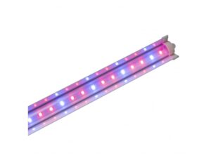 Đèn LED trồng tảo chuyên dụng T 25W 120/50B50R – Rạng Đông