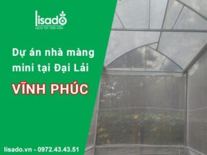 Dự án thi công nhà màng mini 40m2 1 nóc hở tại Đại Lải Vĩnh Phúc