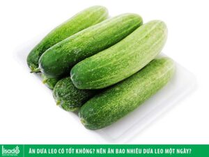 Ăn dưa leo có tốt không? Nên ăn bao nhiêu dưa chuột 1 ngày ?