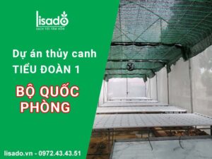 Dự án rau sạch thuỷ canh tại Tiểu Đoàn 1 – Bộ Quốc Phòng