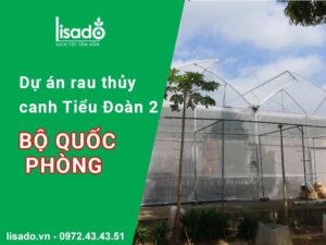 Dự án rau thuỷ canh tại Tiểu Đoàn 2 – Bộ Quốc Phòng