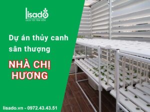 Mô hình thuỷ canh sân thượng nhà chị Hương – GreenBay