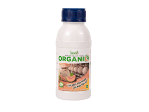 Phân bón tạo ngọt OrganiK hữu cơ
