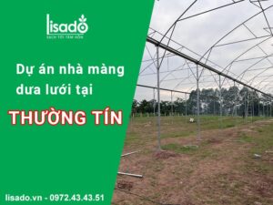 Dự án dưa lưới nhà màng 1000m2 tại Thường Tín – Hà Nội