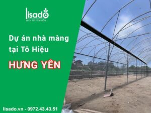 Dự án thiết kế và thi công nhà màng tại trường Tô Hiệu – Hưng Yên