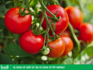 Cà chua có chất gì? Ăn cà chua có tốt không?