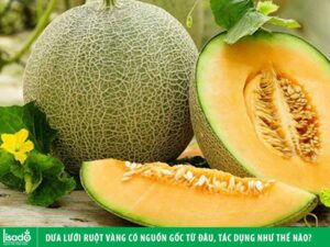 Dưa lưới vàng có nguồn gốc từ đâu, tác dụng như thế nào?