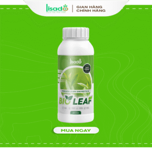 Bio Leaf