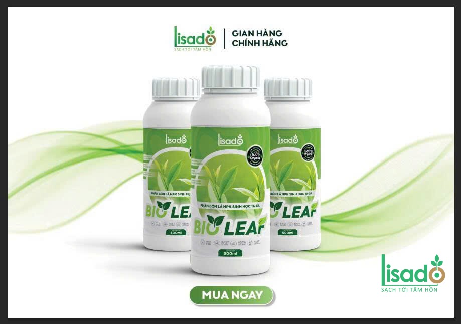 Phân bón lá sinh học Bio Leaf – Xanh dày lá – Bật chồi siêu tốc