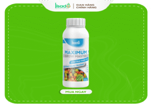 Lớn trái siêu nhanh – Maximum Grow Master