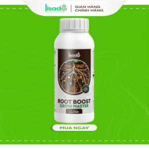 Rootboost