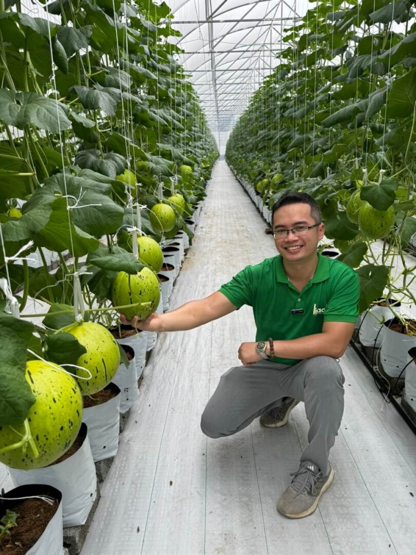 Dịch vụ hỗ trợ và tư vấn kỹ thuật trồng dưa lưới trong nhà màng cho người mới.