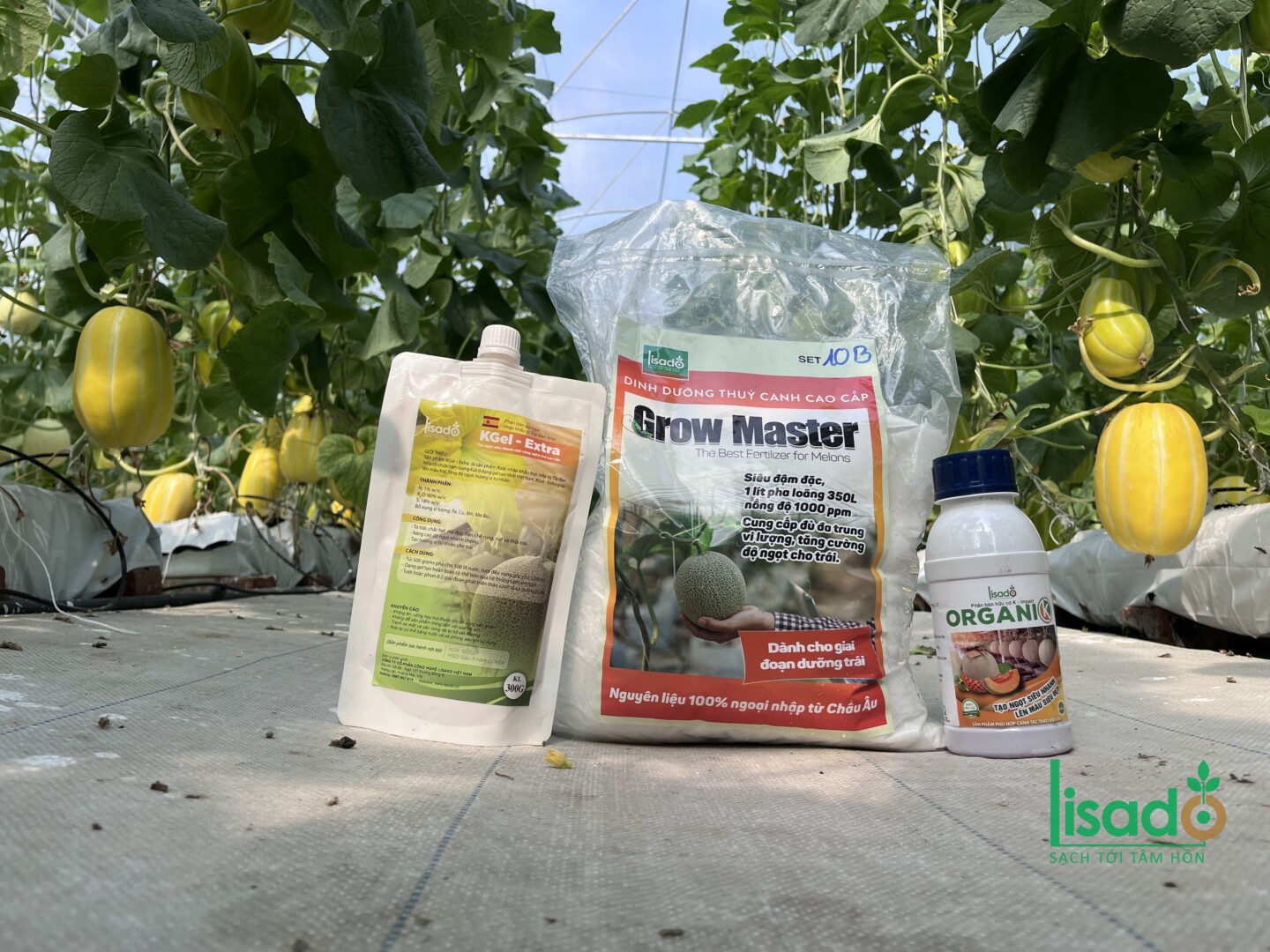 Grow Master Melon Part