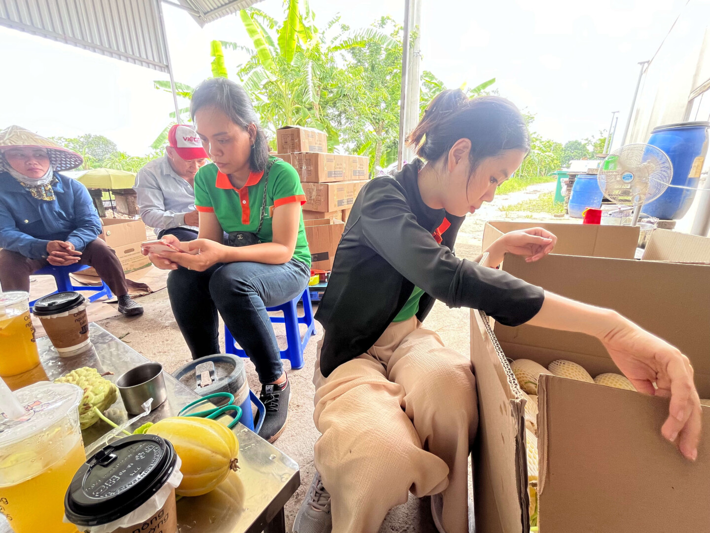 Thu Mua Dua Luoi